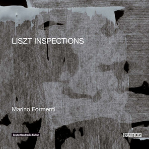 LISZT INSPECTIONS (0013292KAI)