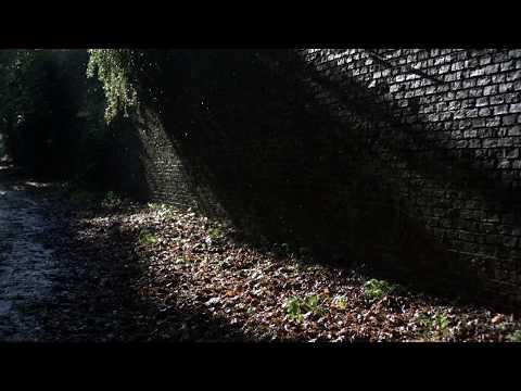 Preview image for the video "Stefan Węgłowski: Contemporary Jewish Music (0015026KAI)".